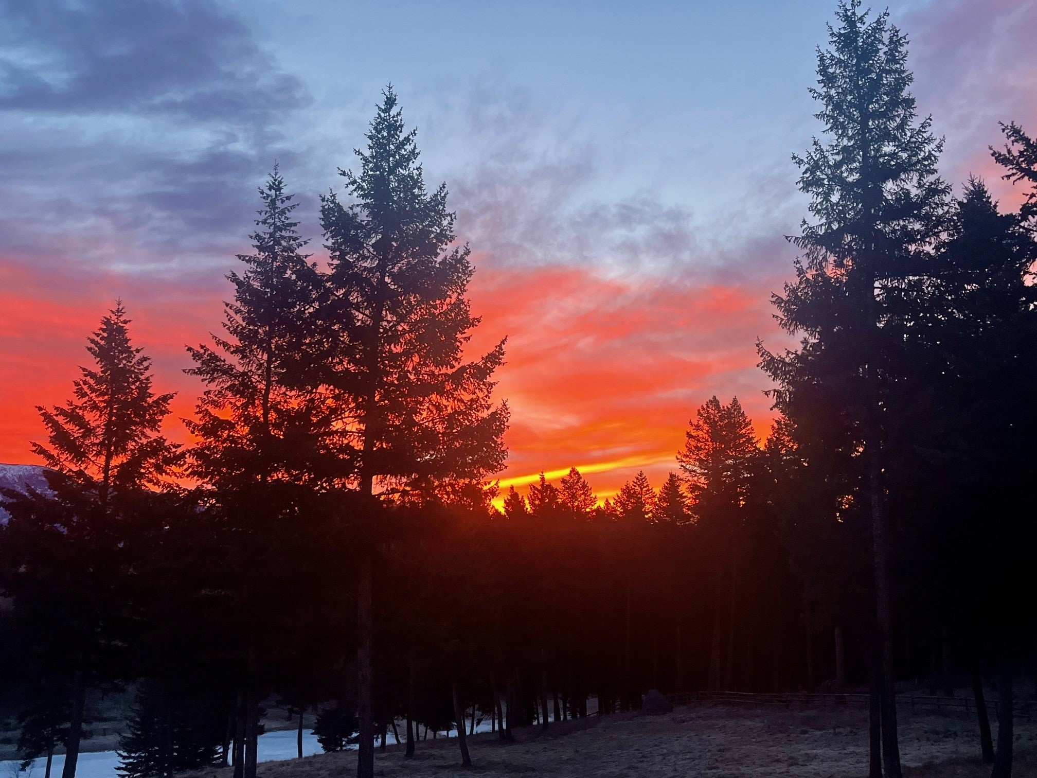 Nhn Loon Lake Road Trego, MT 59934 - Photo 50 of 72 Gallery Image 50