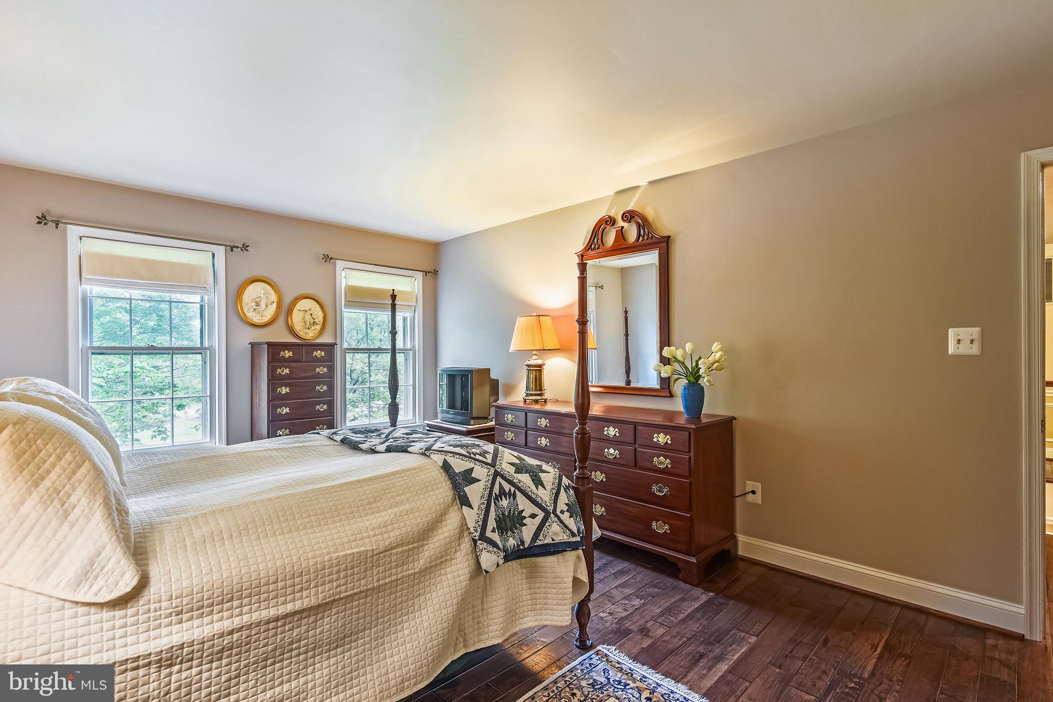 11949 Grey Squirrel Lane Reston, VA 20194 - Photo 24 of 65 Primary BR, View #2