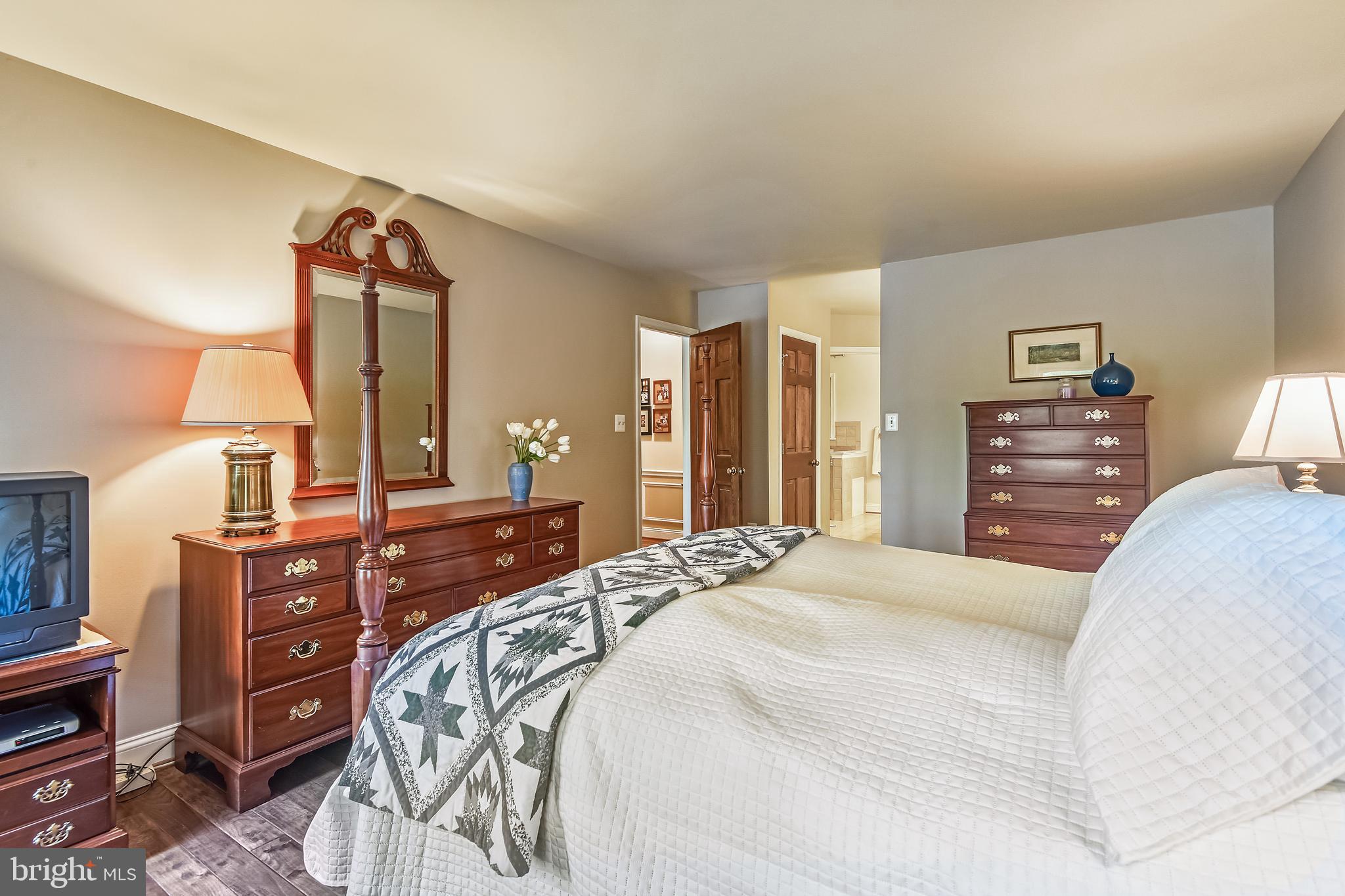 11949 Grey Squirrel Lane Reston, VA 20194 - Photo 25 of 65 Primary BR, View #3