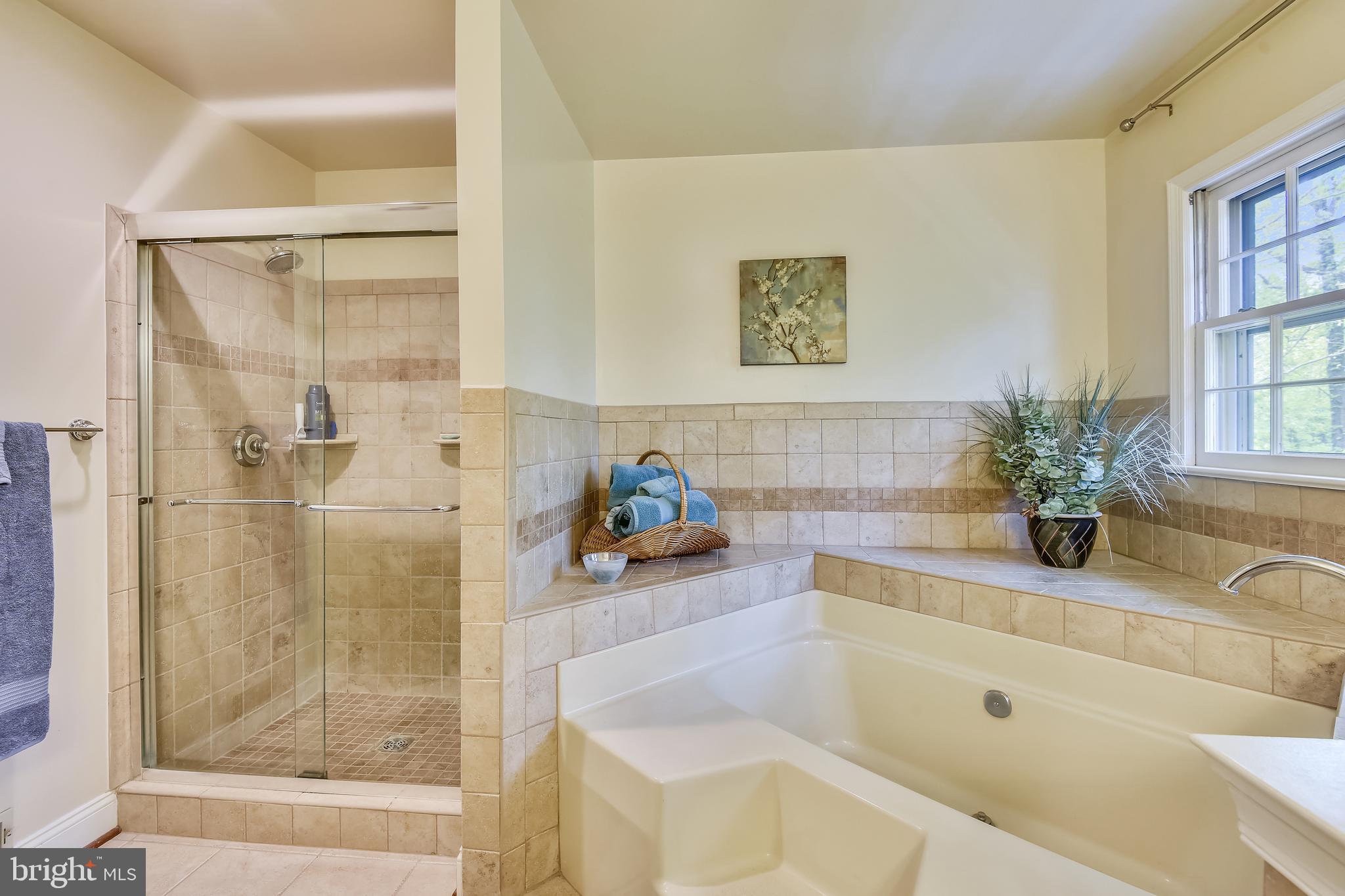 11949 Grey Squirrel Lane Reston, VA 20194 - Photo 26 of 65 Luxury primary bath