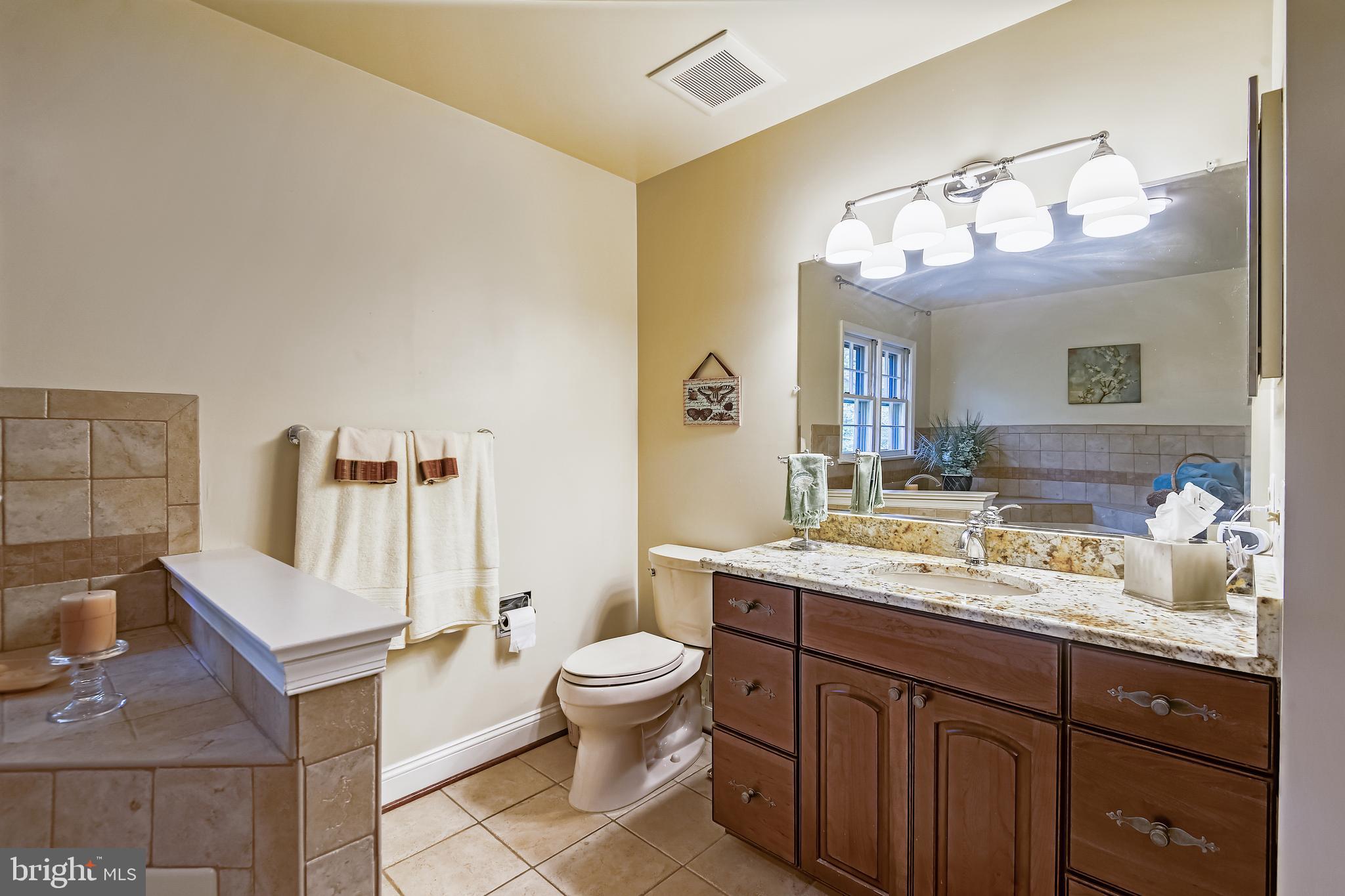 11949 Grey Squirrel Lane Reston, VA 20194 - Photo 27 of 65 Primary Bath View #2