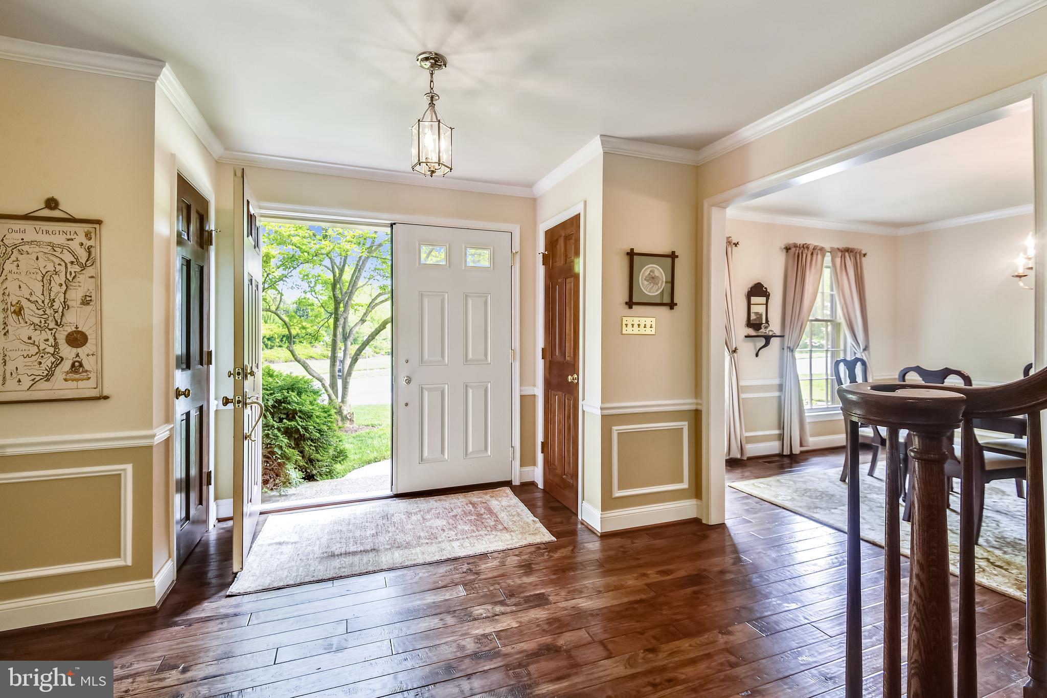 11949 Grey Squirrel Lane Reston, VA 20194 - Photo 4 of 65 New double doors into the entry