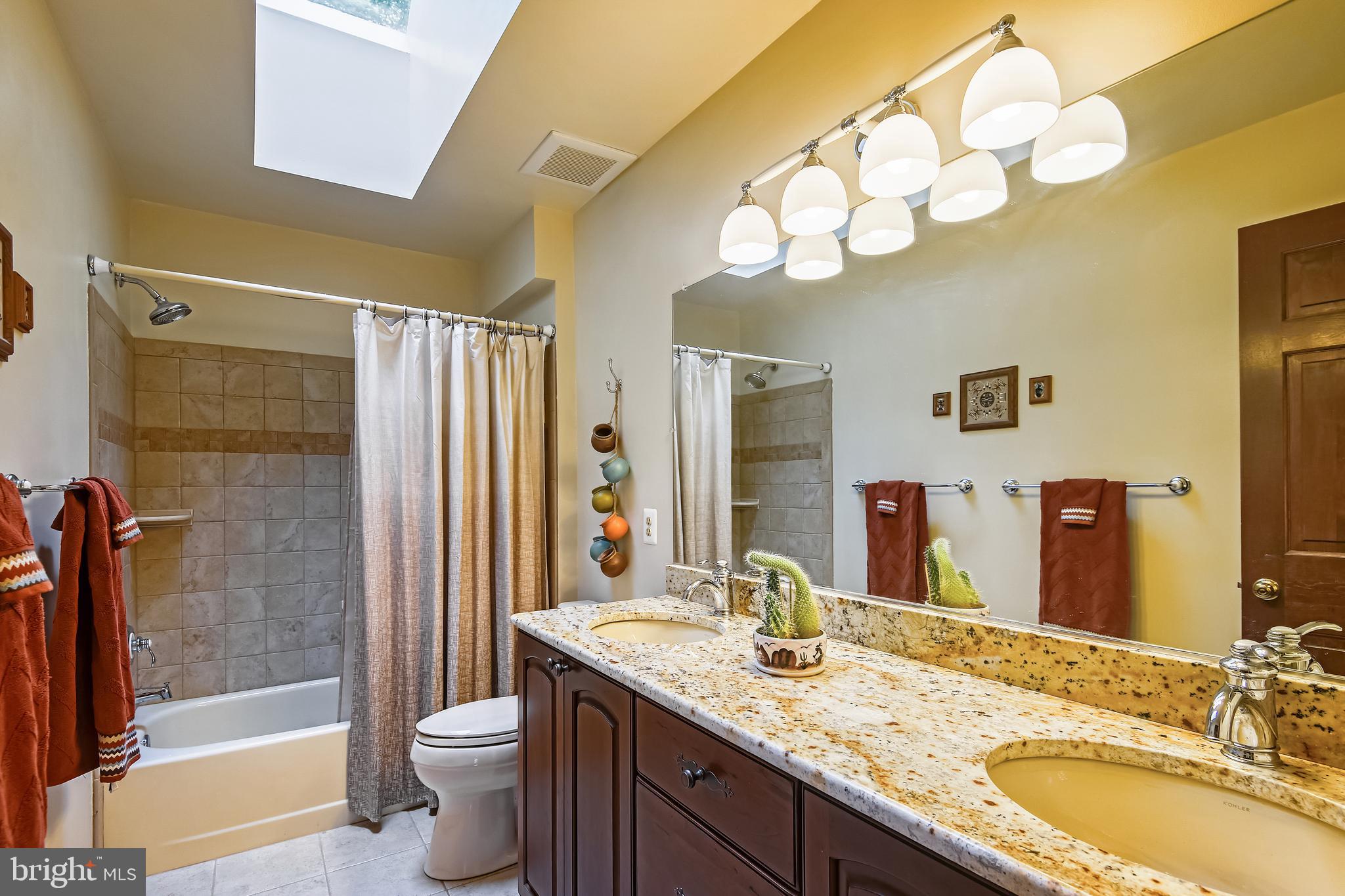 11949 Grey Squirrel Lane Reston, VA 20194 - Photo 33 of 65 Hall bath with double sinks