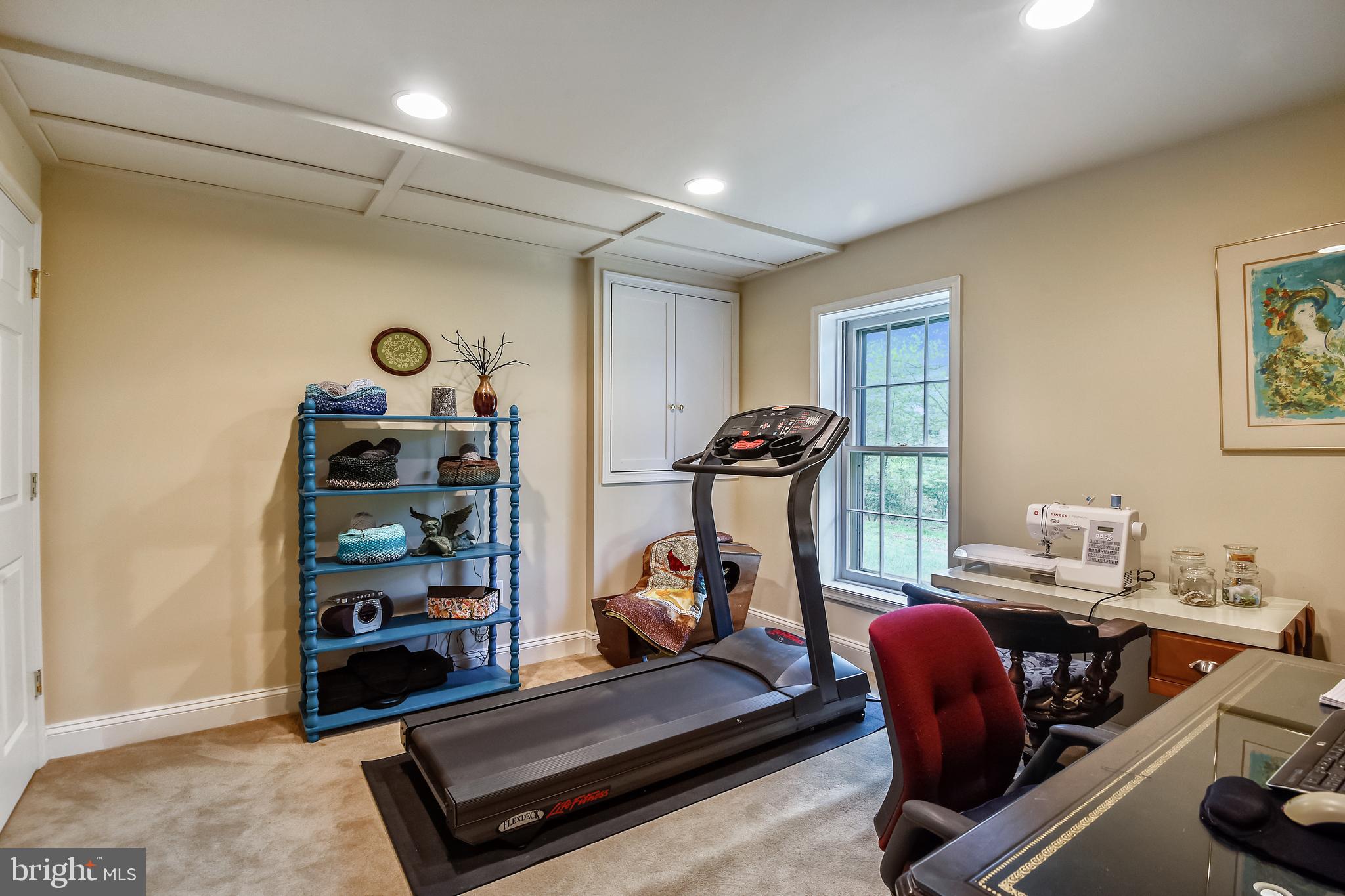11949 Grey Squirrel Lane Reston, VA 20194 - Photo 41 of 65 5th bedroom -