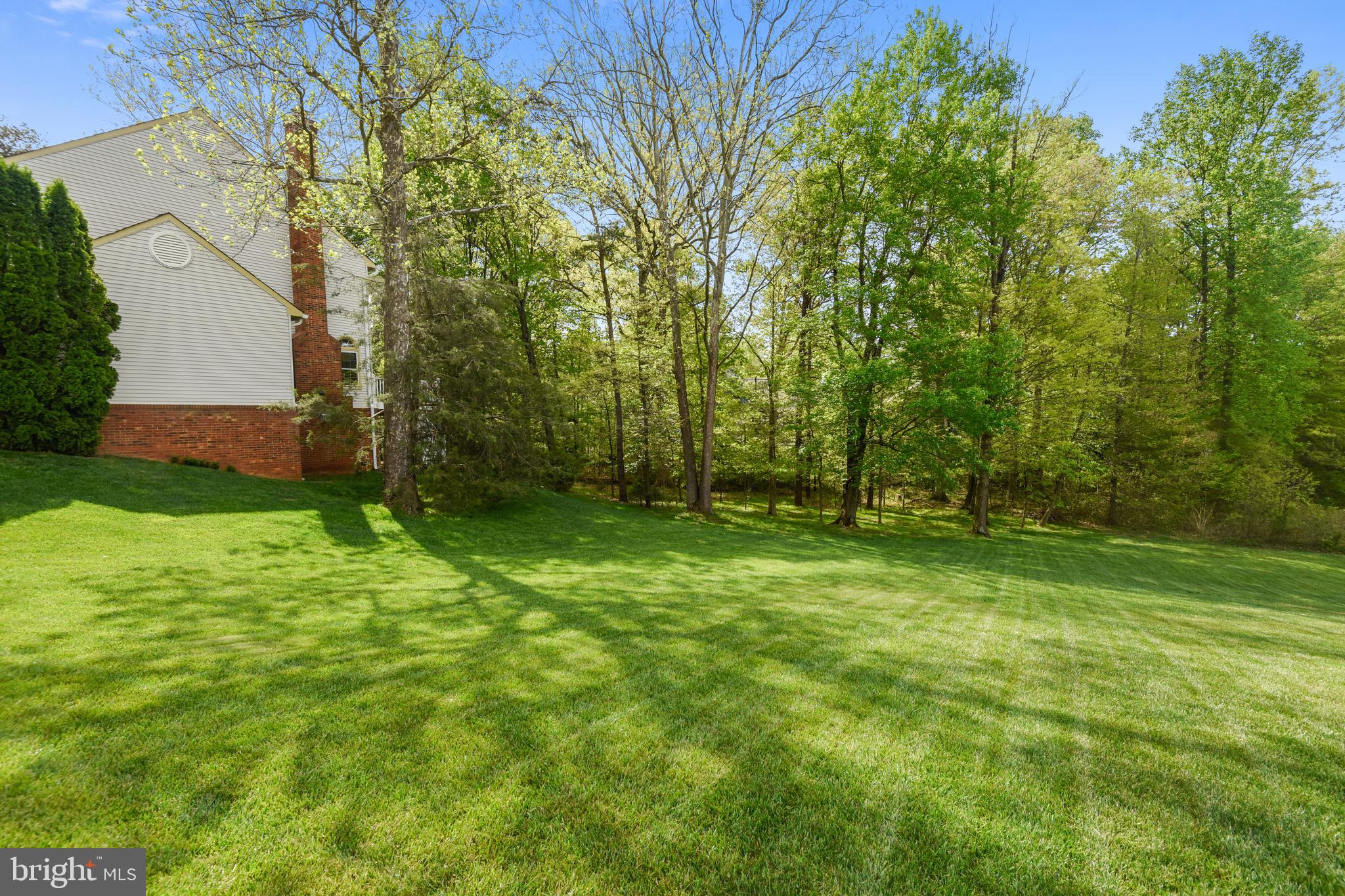 11949 Grey Squirrel Lane Reston, VA 20194 - Photo 46 of 65
