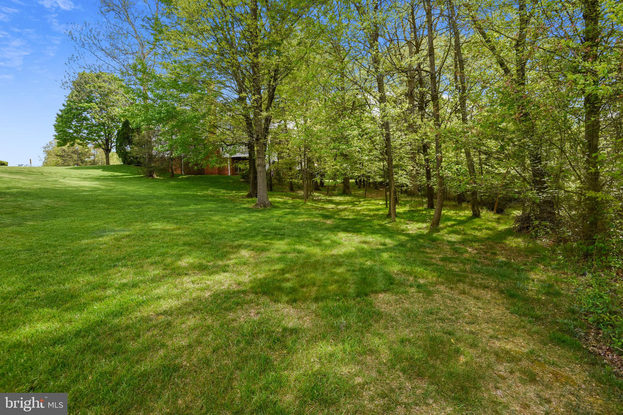 11949 Grey Squirrel Lane Reston, VA 20194 - Photo 47 of 65
