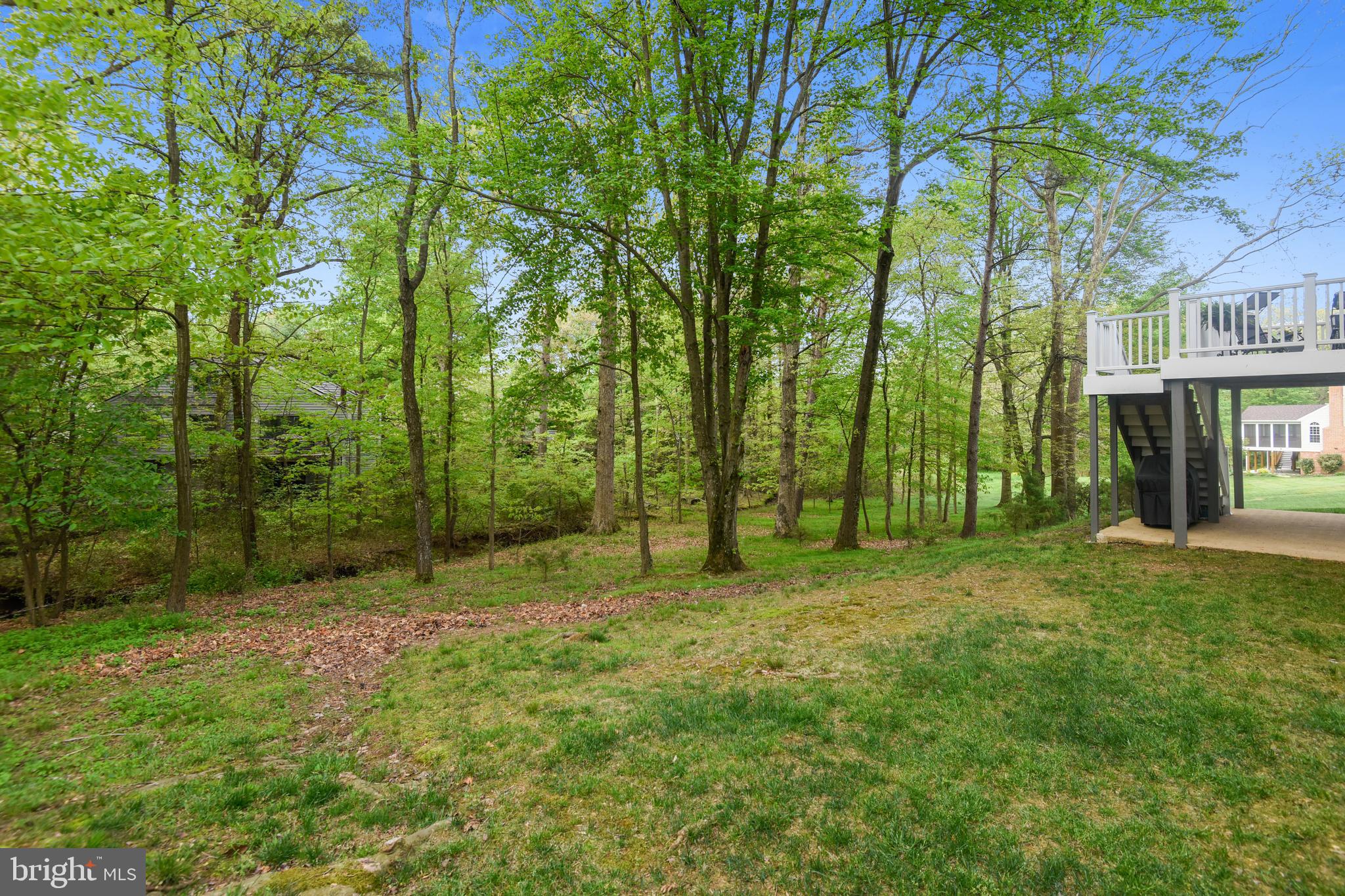 11949 Grey Squirrel Lane Reston, VA 20194 - Photo 48 of 65