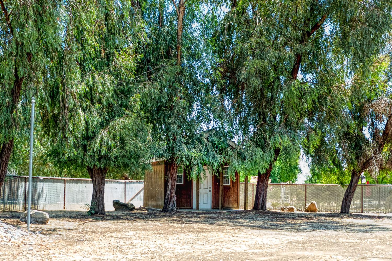 5578 Perrin Road Clovis, CA 93619 - Photo 41 of 62 a view of a backyard with tree