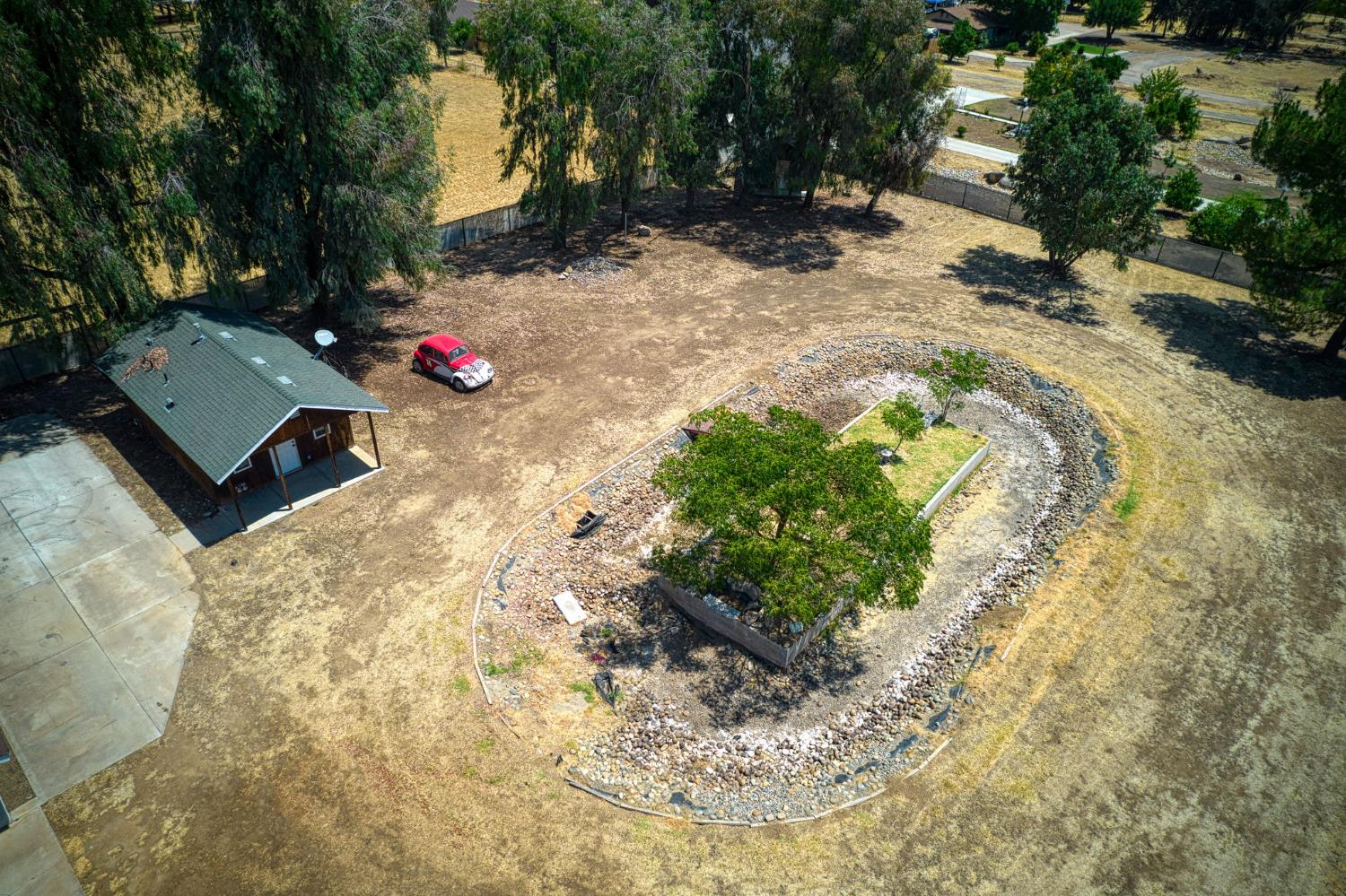 5578 Perrin Road Clovis, CA 93619 - Photo 10 of 62 a view of a yard with plants