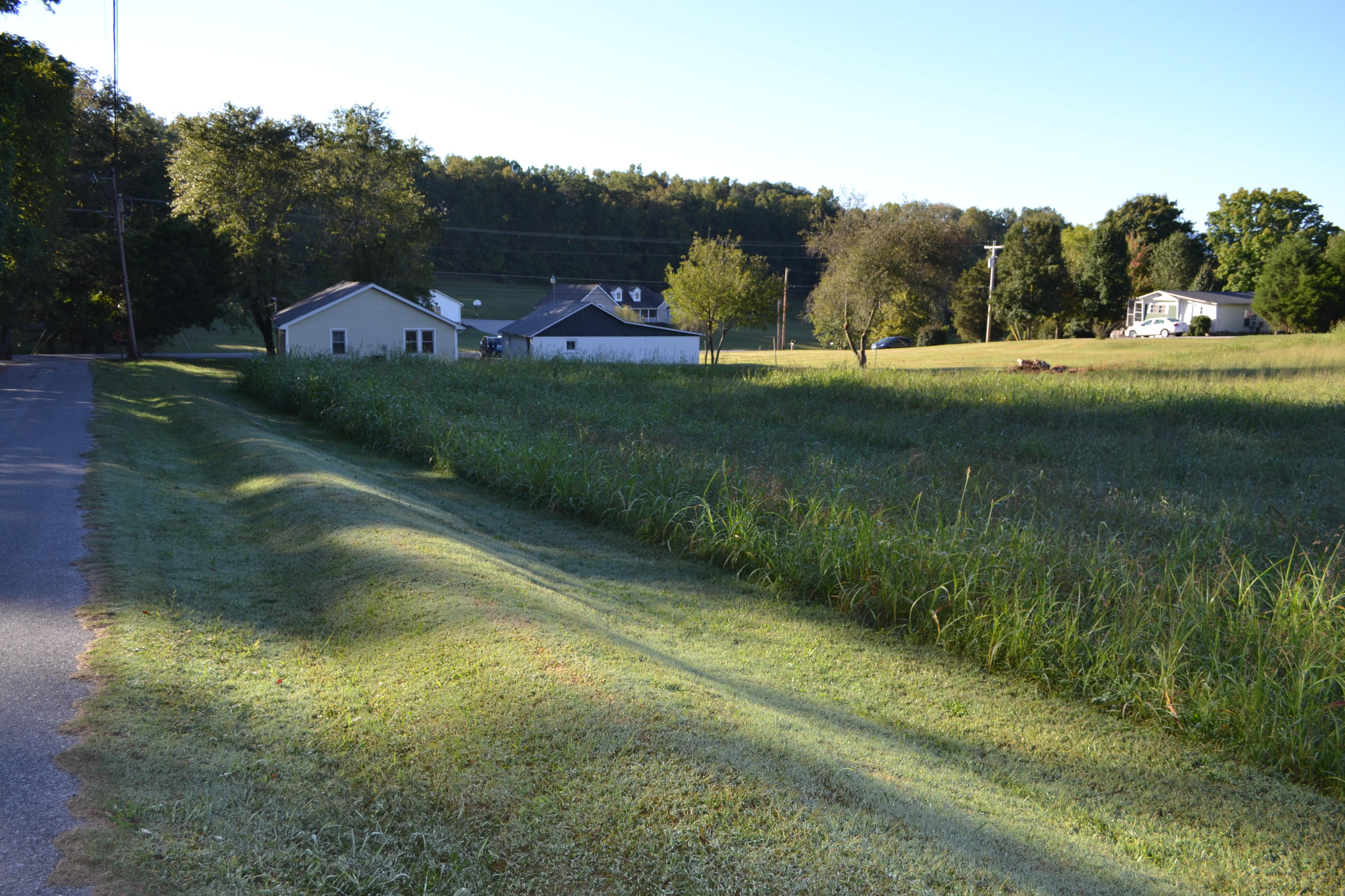 2802 Ellejoy Road Walland, TN 37886 - Photo 18 of 21 View from Property Line