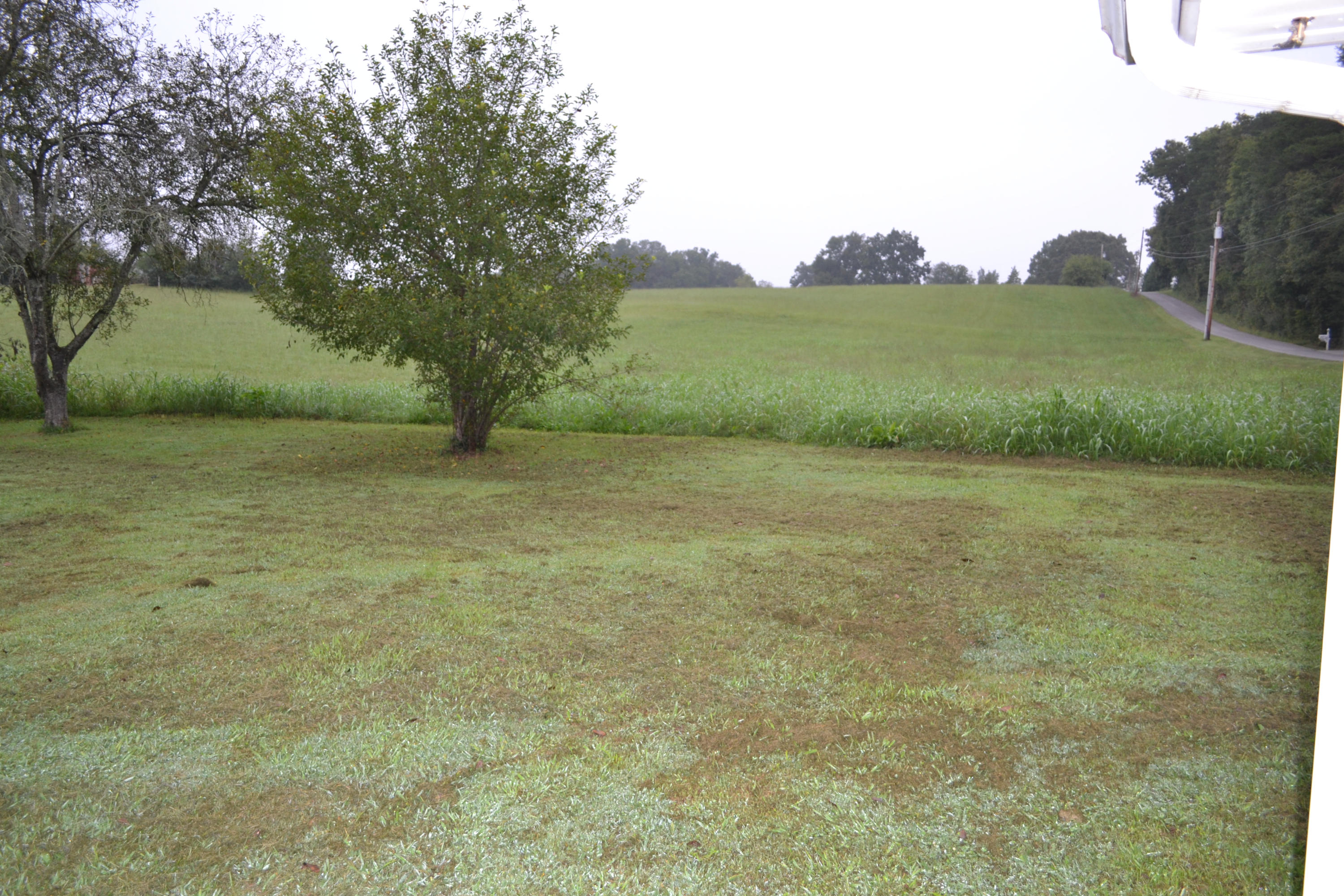 2802 Ellejoy Road Walland, TN 37886 - Photo 19 of 21 Lots of land!
