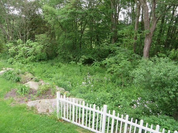 166 Boston Road Chelmsford, MA 01824 - Photo 6 of 20