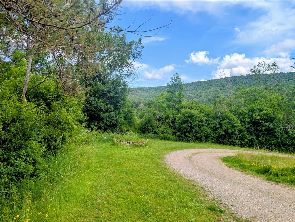2978 Andover Road Wellsville, NY 14895 - Photo 29 of 30