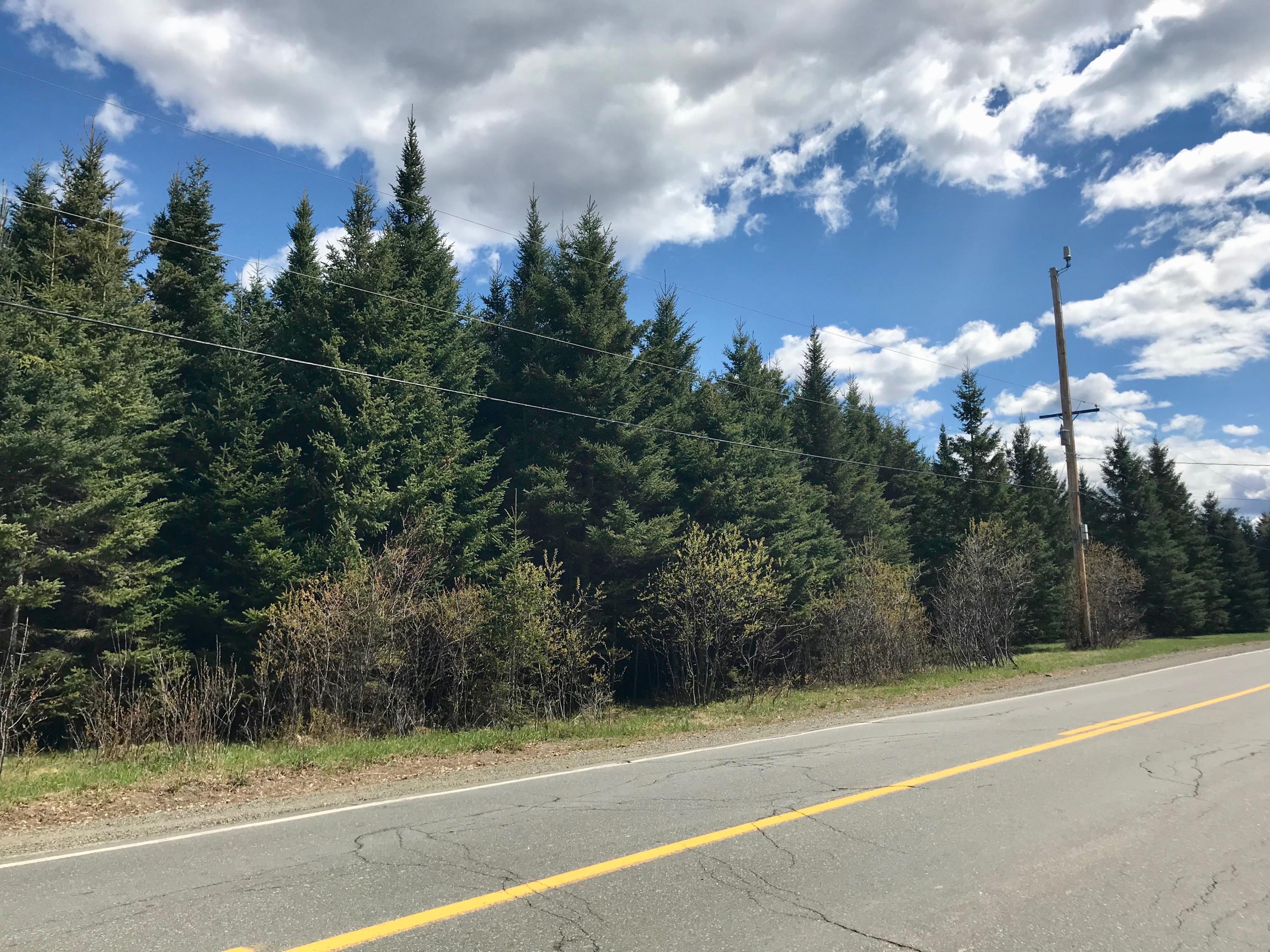 1096 Rangeley Road Stratton, ME 04982 - Photo 2 of 4 Rangeley Rd.