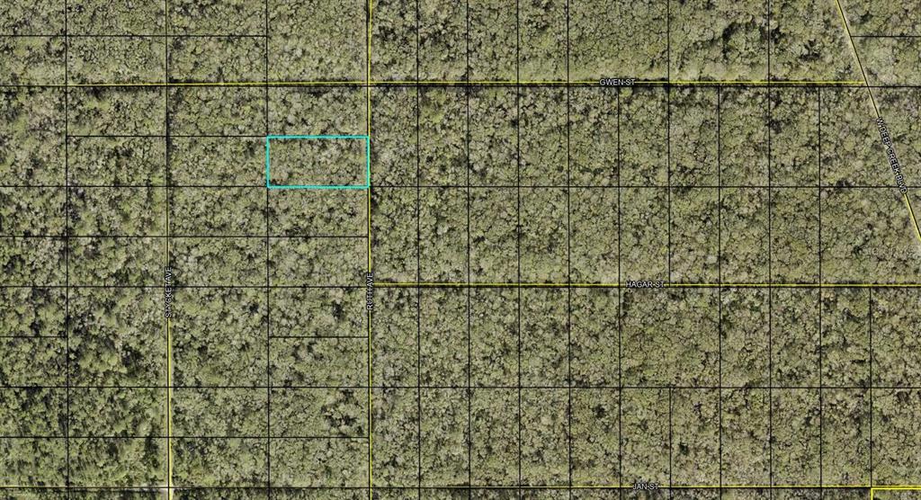 Xxx Ruth Avenue Hastings, FL 32145 - Photo 1 of 3