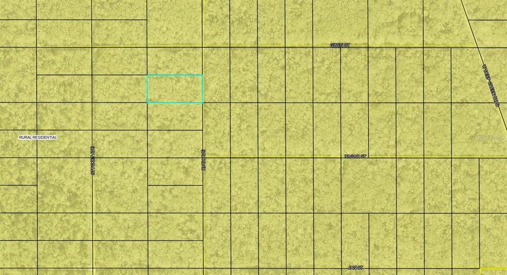 Xxx Ruth Avenue Hastings, FL 32145 - Photo 2 of 3