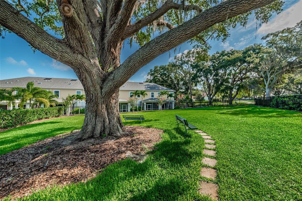 1220 Sunset Lane Dunedin, FL 34698 - Photo 34 of 34