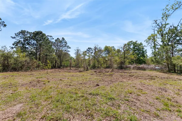 a view of empty field with trees
