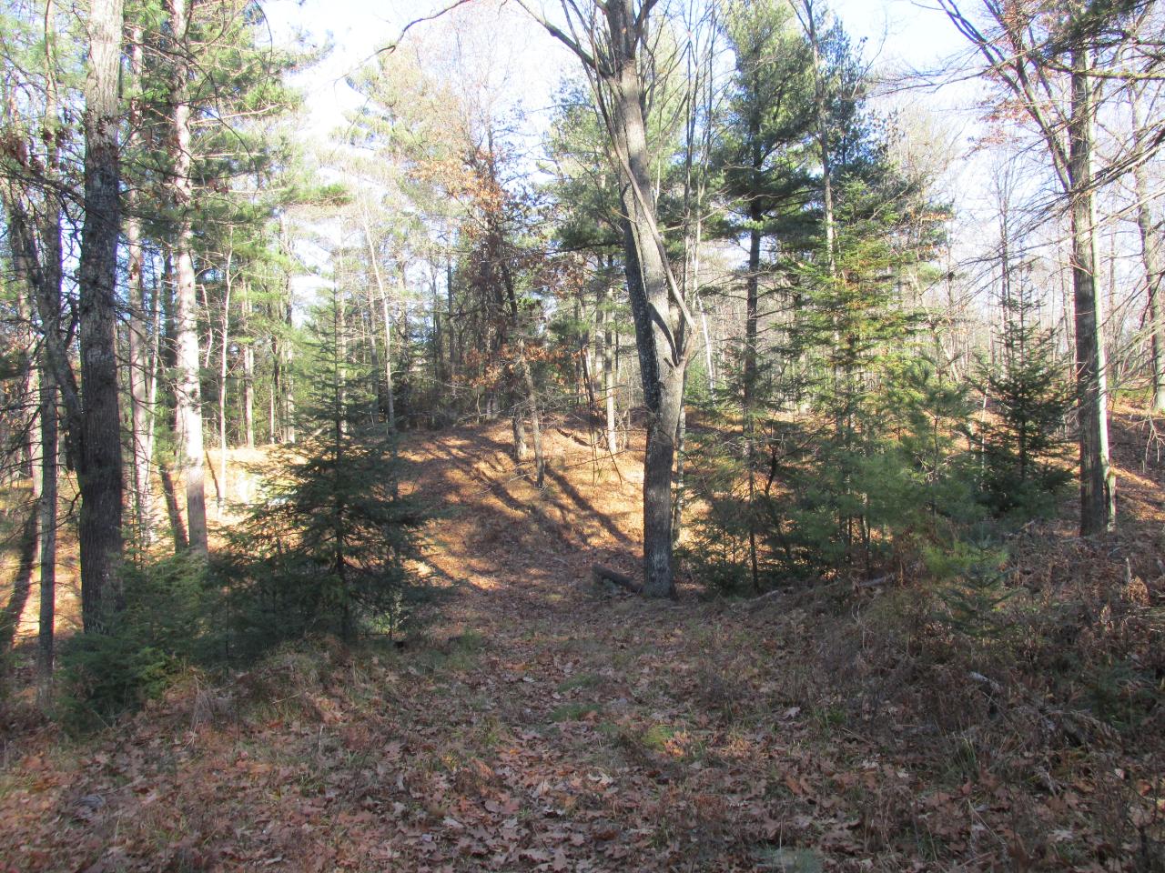 On Wildflower Bay Road Rhinelander, WI 54501 - Photo 8 of 13 Gallery Image 8