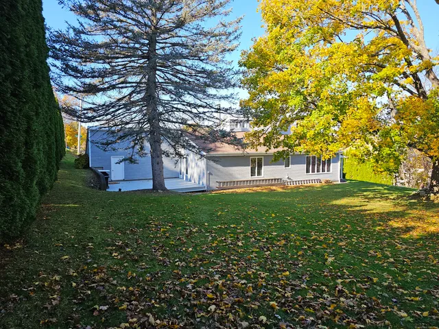 a view of a big yard with plants and large trees