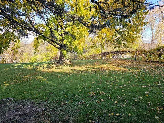 a view of yard with large trees