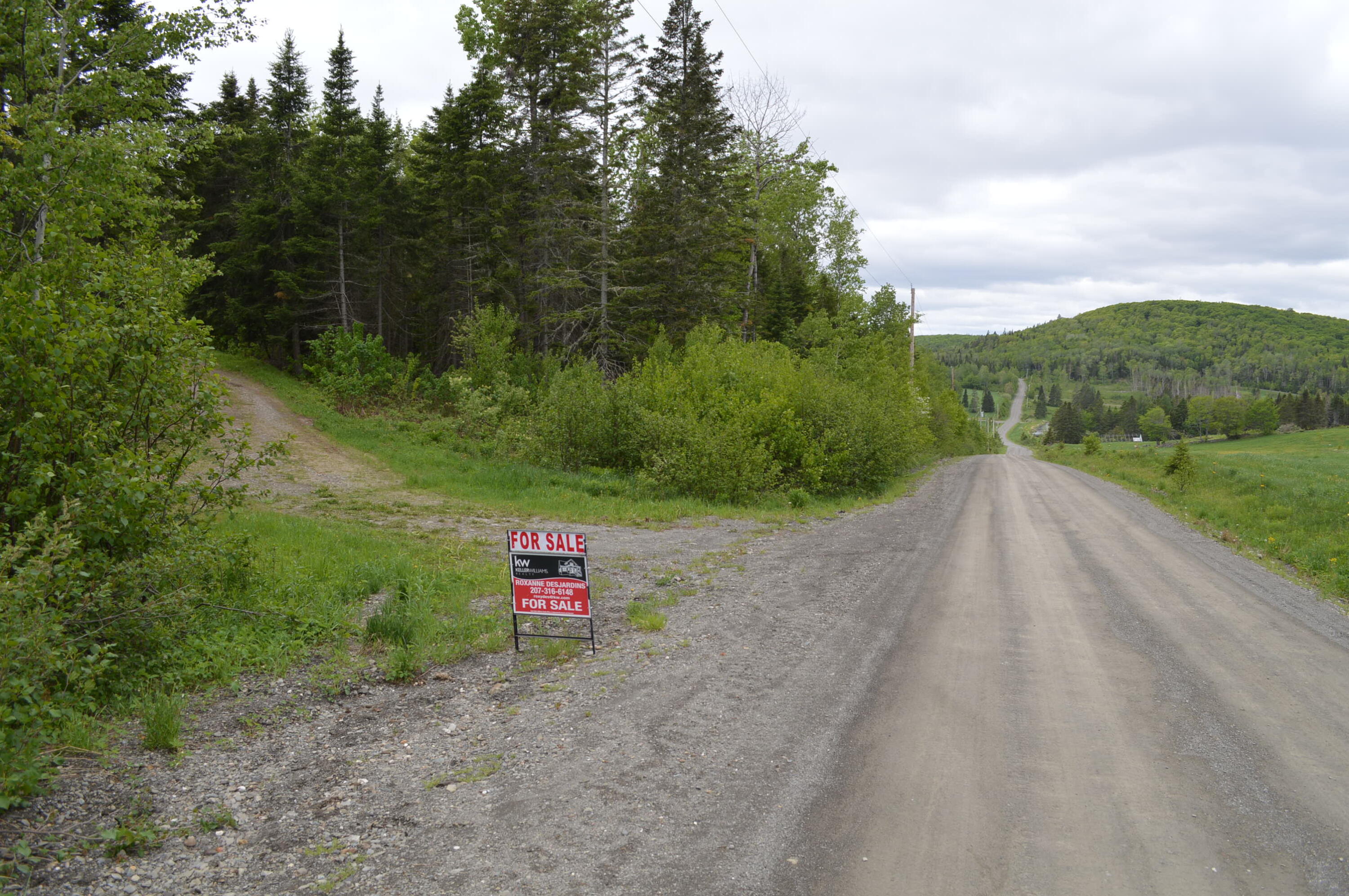 739 Charette Hill Road Fort Kent, ME 04743 - Photo 2 of 29 Mouth of the driveway