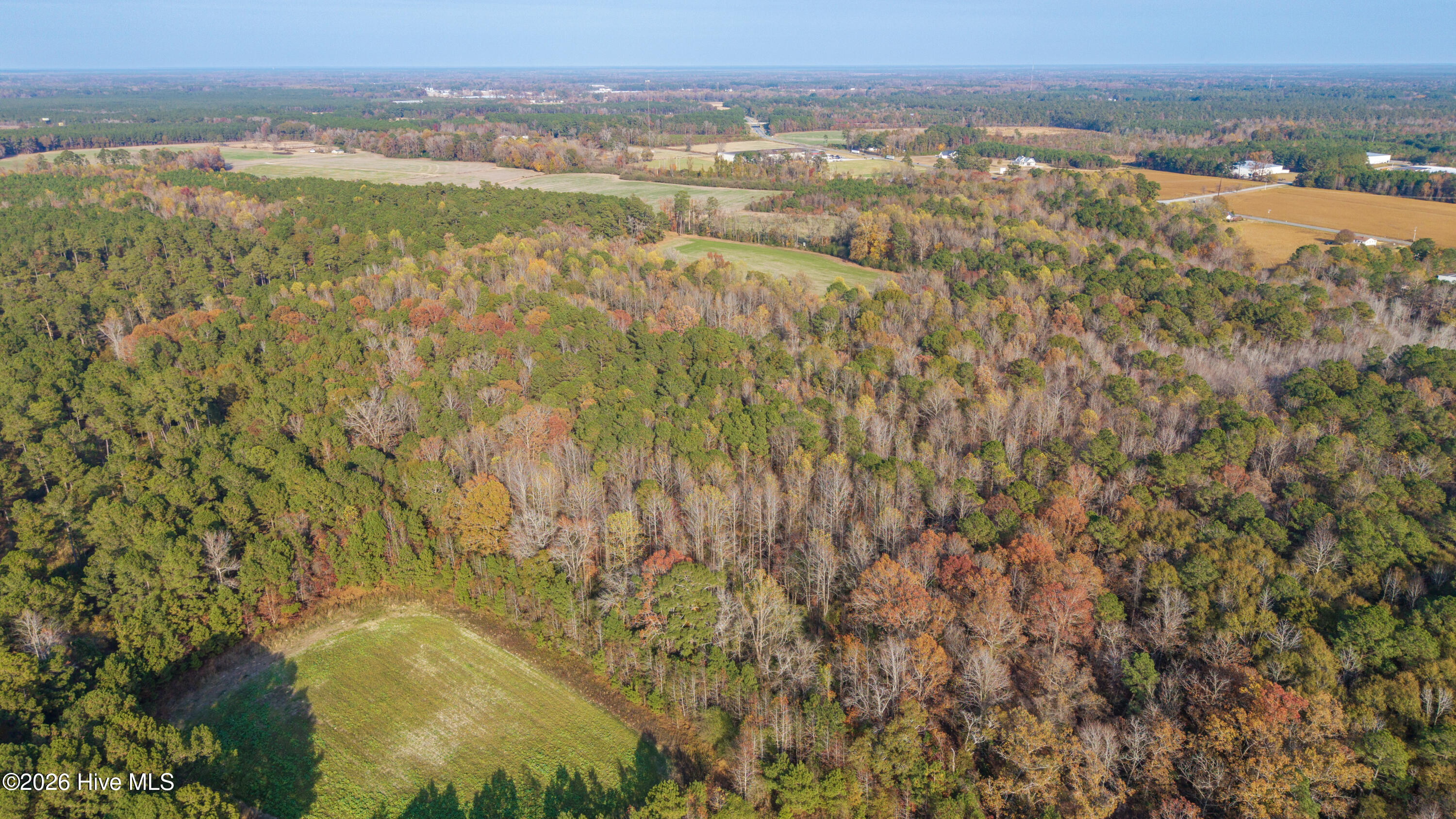 41.5-acres High School Road Teachey, NC 28464 - Photo 2 of 20 Gallery Image 2