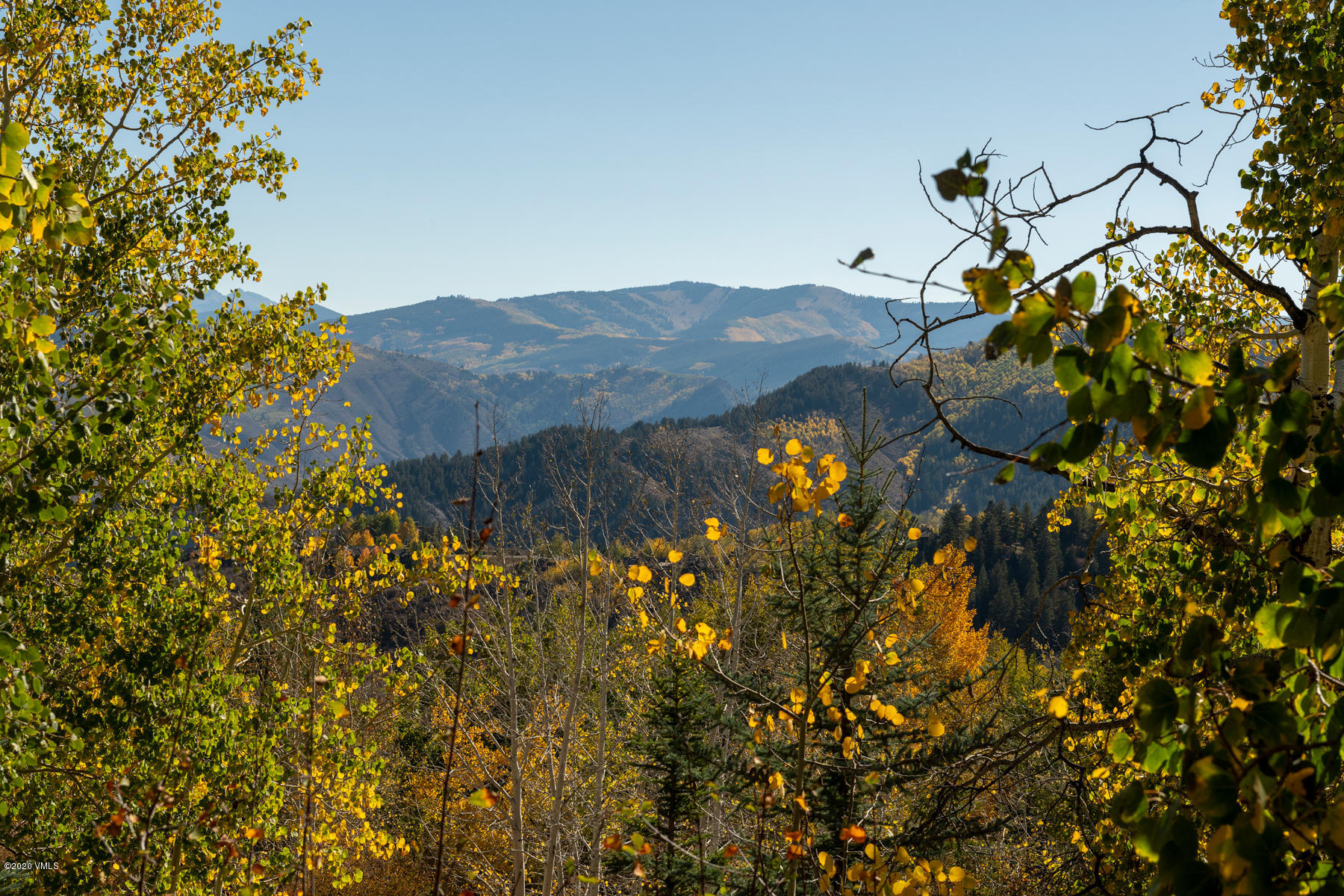 919 Bachelor Ridge Road Avon, CO 81620 - Photo 13 of 31 a view of a tree