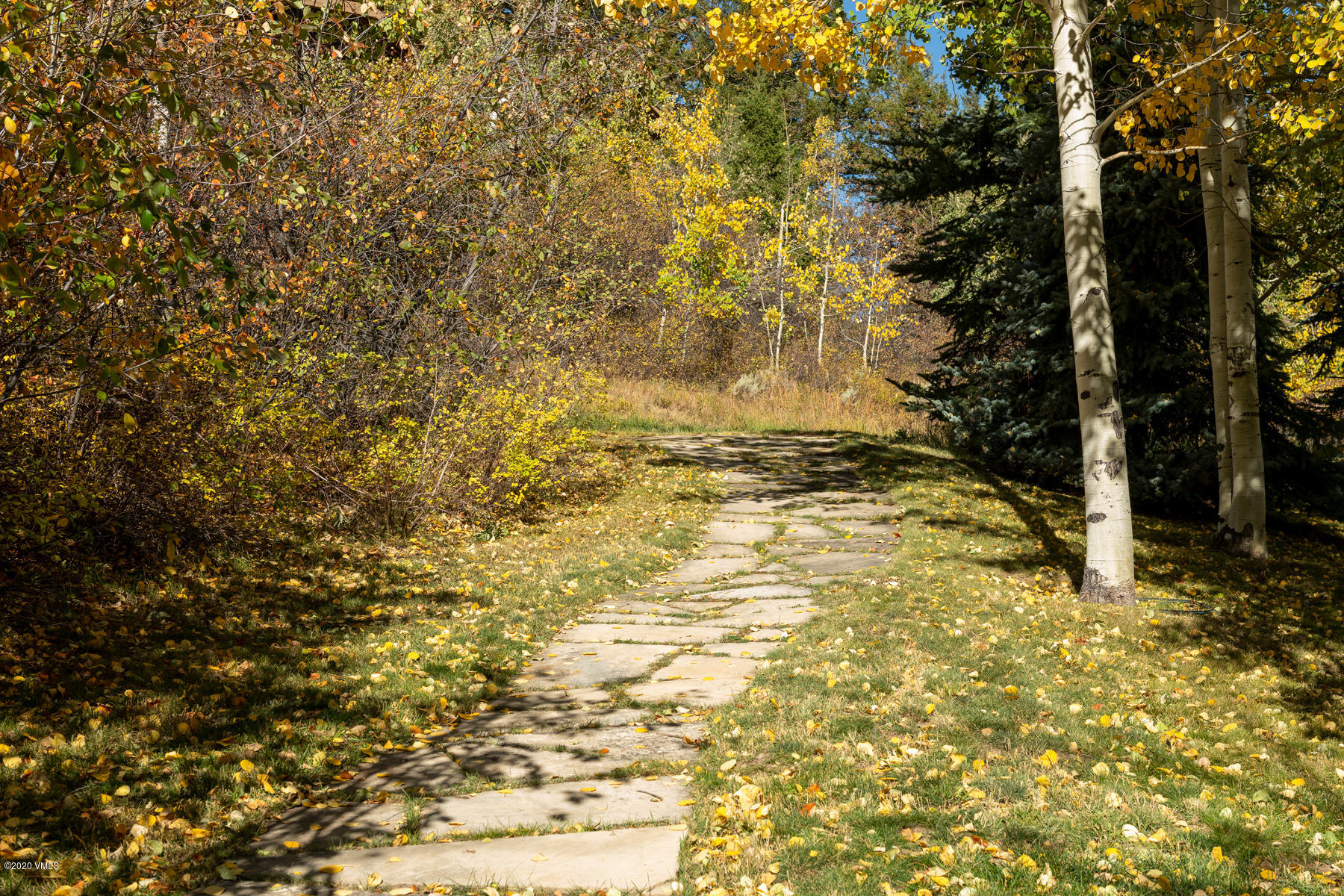 919 Bachelor Ridge Road Avon, CO 81620 - Photo 28 of 31 a view of a yard