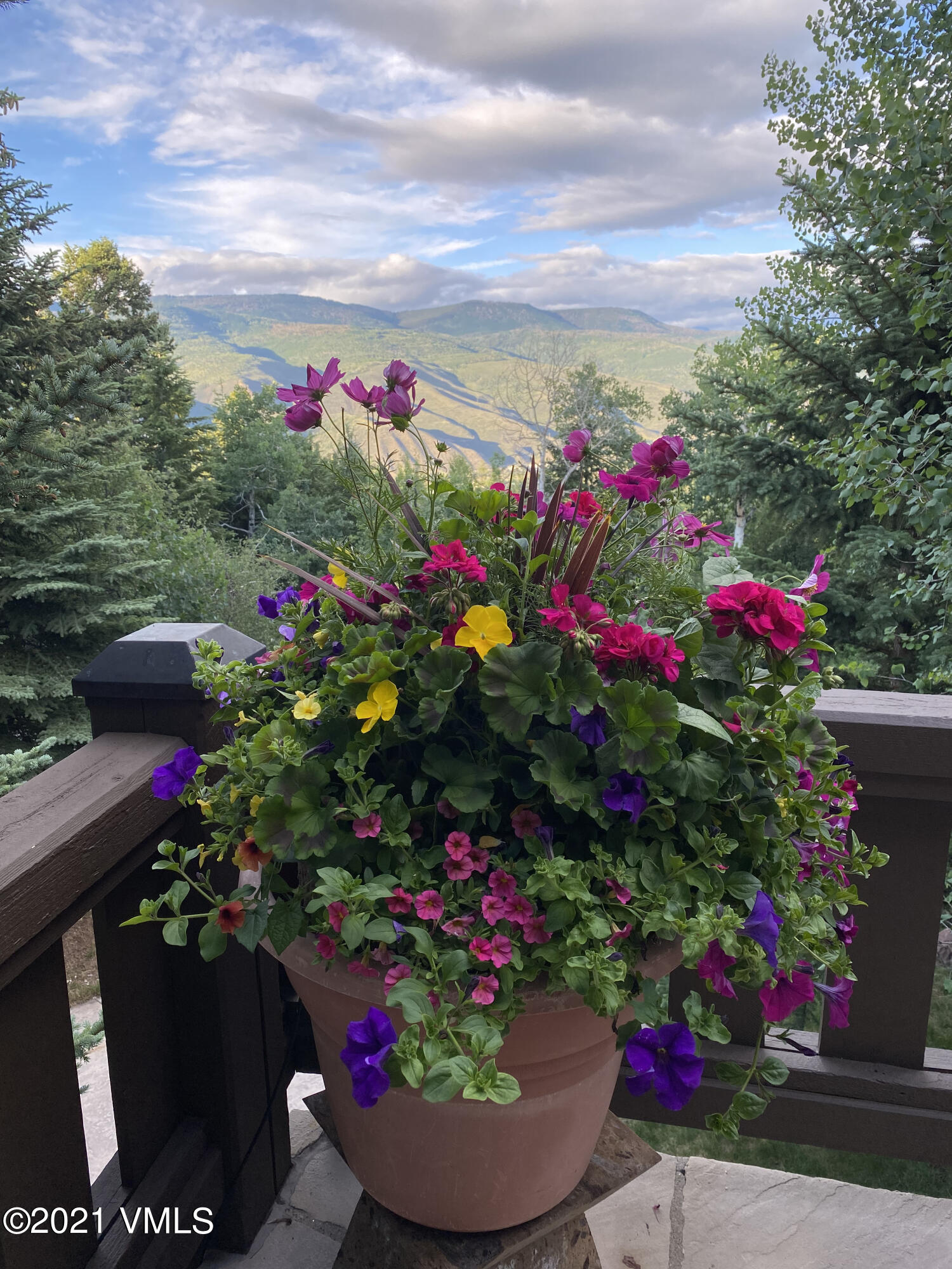 919 Bachelor Ridge Road Avon, CO 81620 - Photo 3 of 31 a view of a flower in a lot of flowers