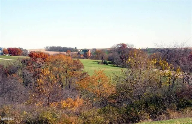 a view of a dry yard with trees