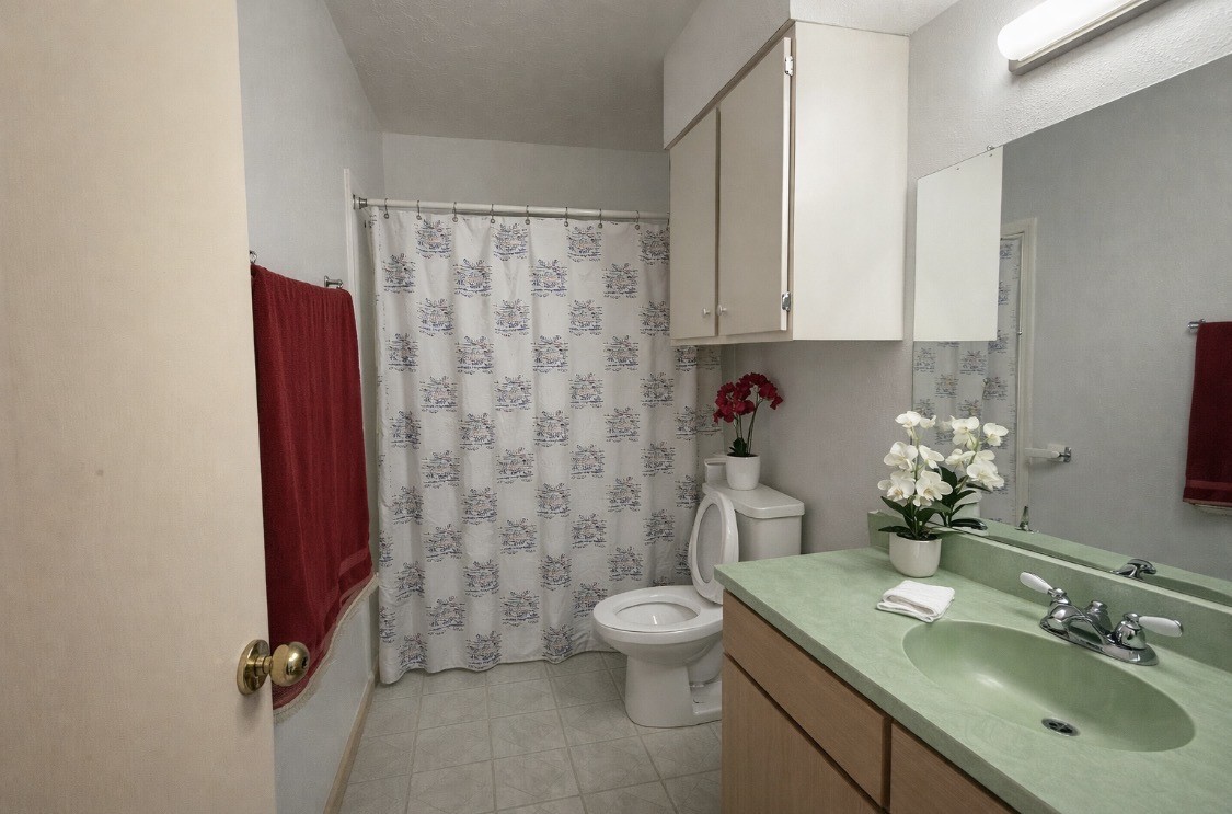 2102 Snowdrop Lane Houston, TX 77067 - Photo 6 of 9 a bathroom with a sink toilet and shower