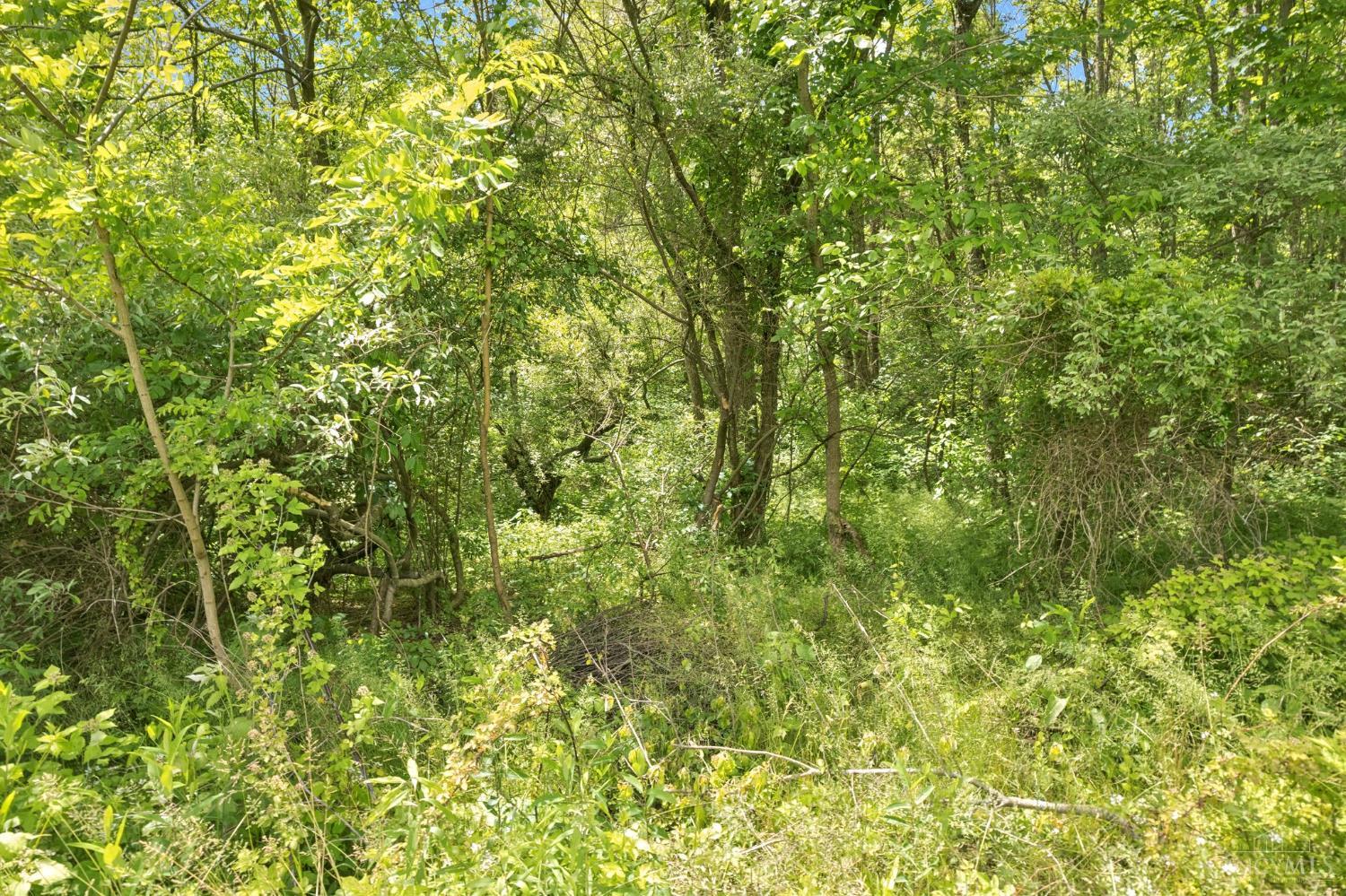 5246 Smokey Road Williamsburg, OH 45176 - Photo 70 of 73