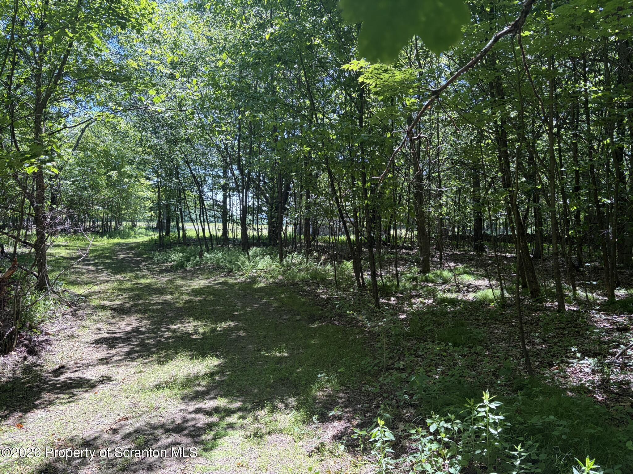 1477 Chipmunk Road Thompson, PA 18465 - Photo 28 of 37 Woods