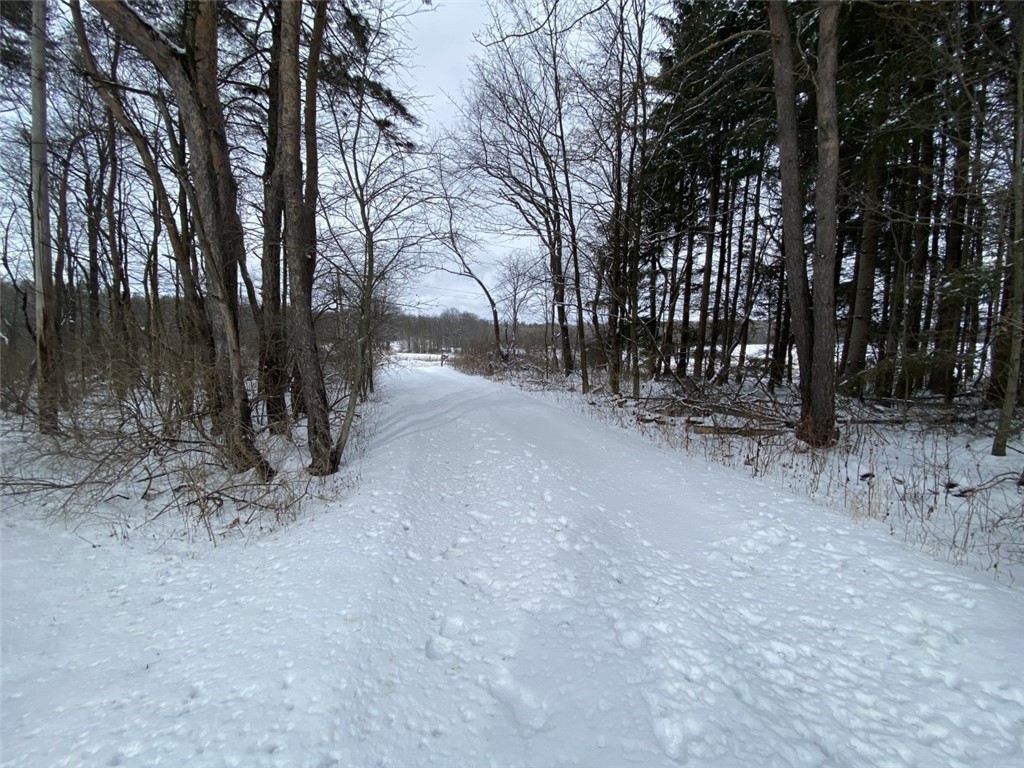 420 Randall Road Orange, NY 14815 - Photo 2 of 42