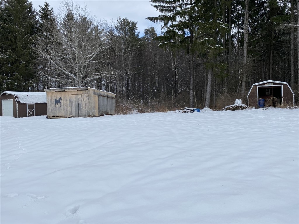 420 Randall Road Orange, NY 14815 - Photo 31 of 42