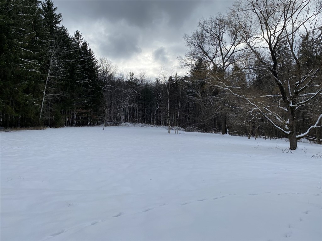 420 Randall Road Orange, NY 14815 - Photo 32 of 42