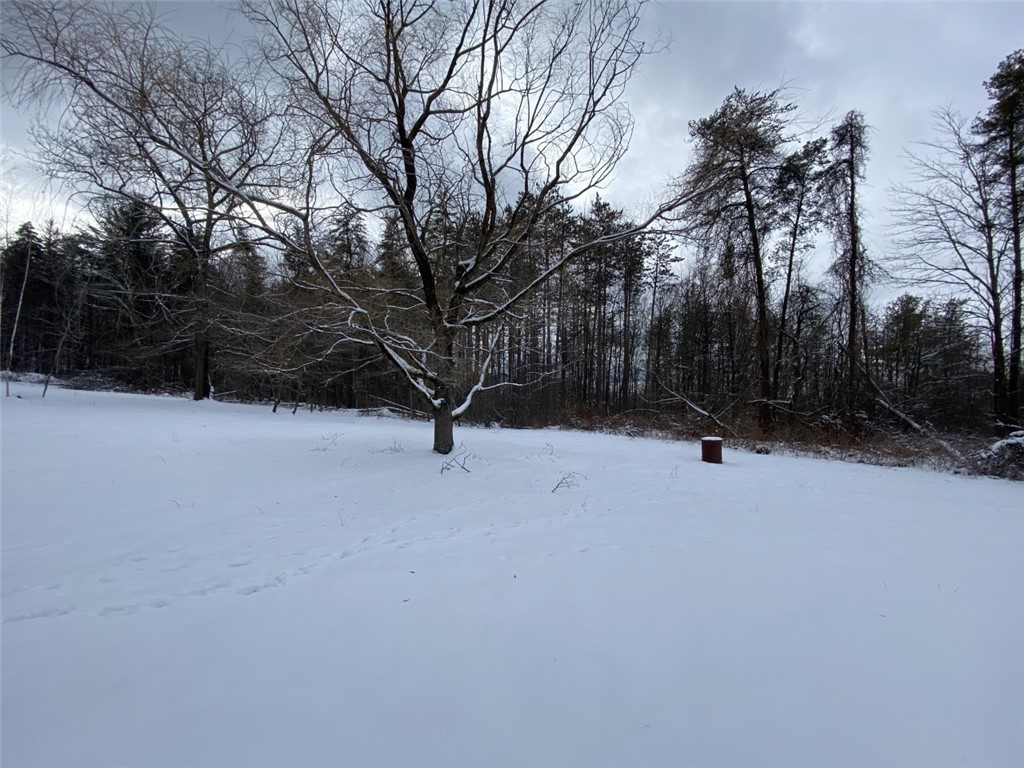 420 Randall Road Orange, NY 14815 - Photo 33 of 42