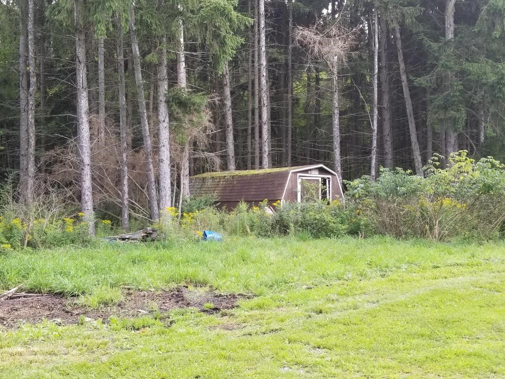 420 Randall Road Orange, NY 14815 - Photo 38 of 42