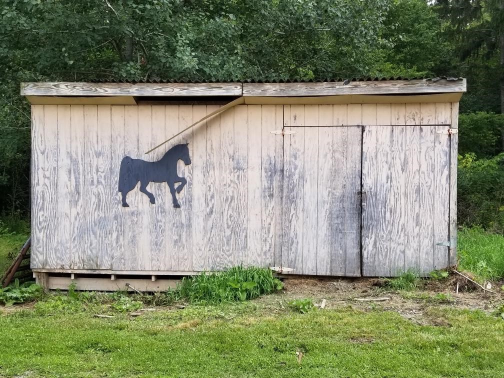 420 Randall Road Orange, NY 14815 - Photo 39 of 42