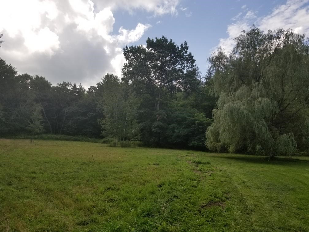 420 Randall Road Orange, NY 14815 - Photo 42 of 42