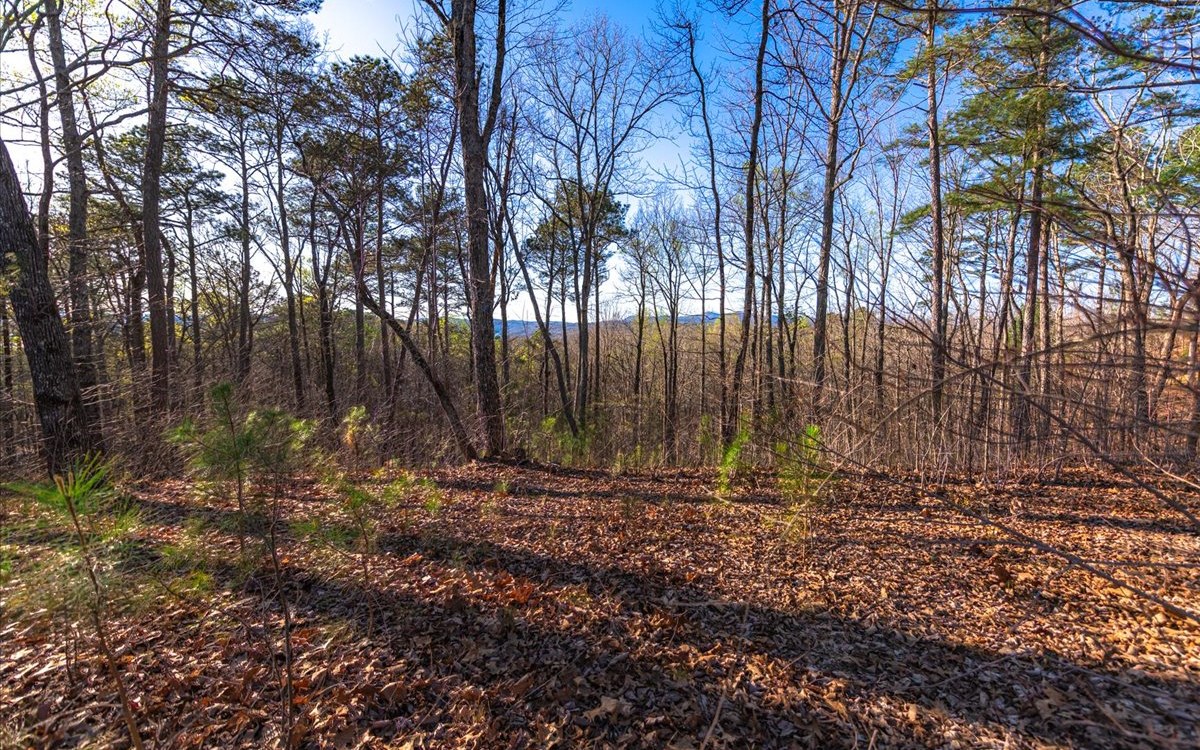 175 Doll Mountain Road Ellijay, GA 30540 - Photo 10 of 10 Additional View
