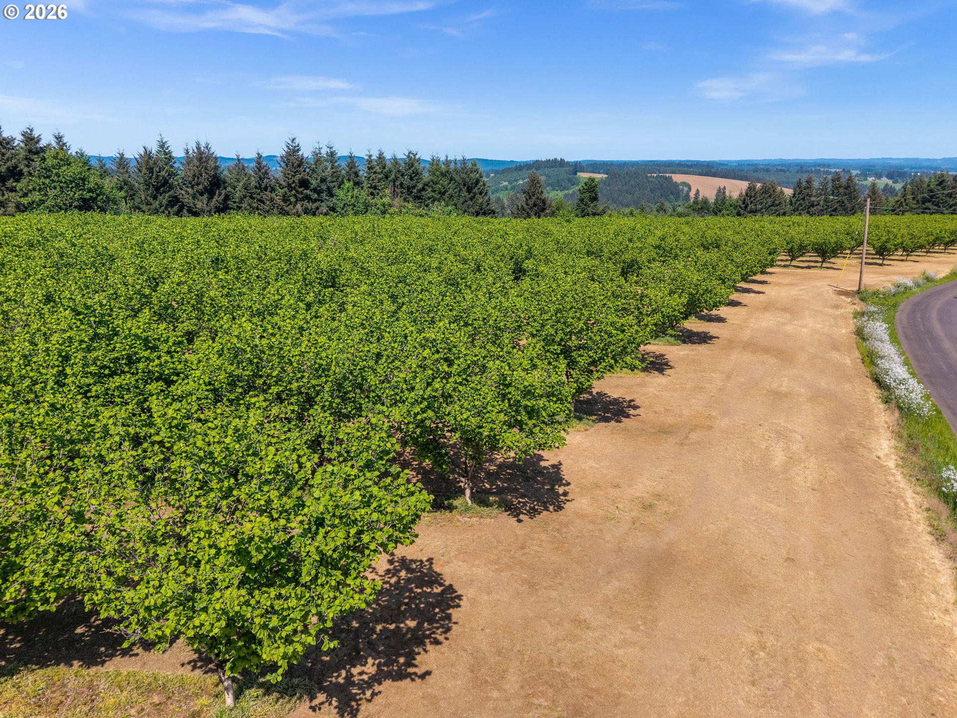 48025 Northwest Strohmayer Road Forest Grove, OR 97116 - Photo 37 of 42