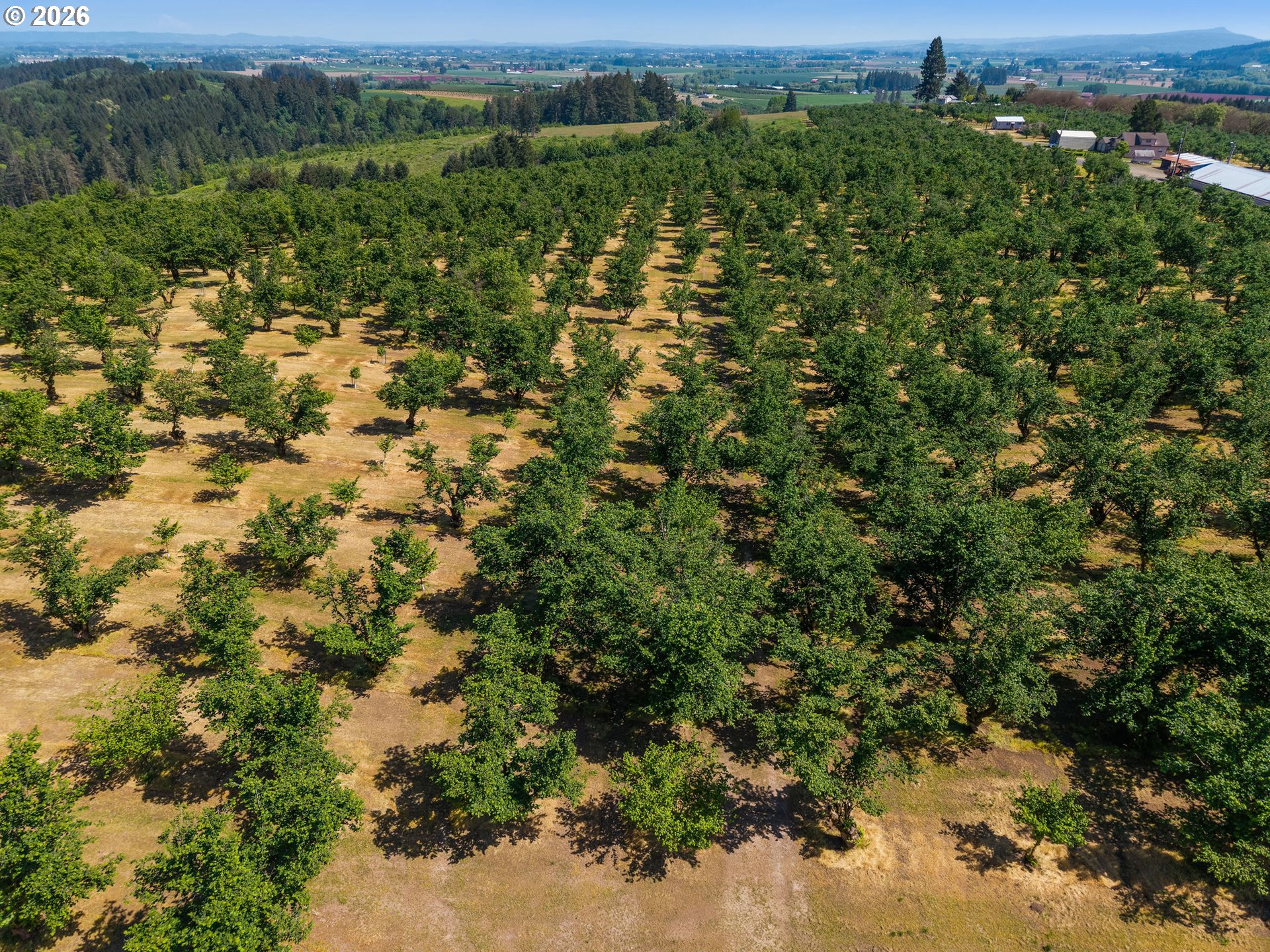 48025 Northwest Strohmayer Road Forest Grove, OR 97116 - Photo 40 of 42