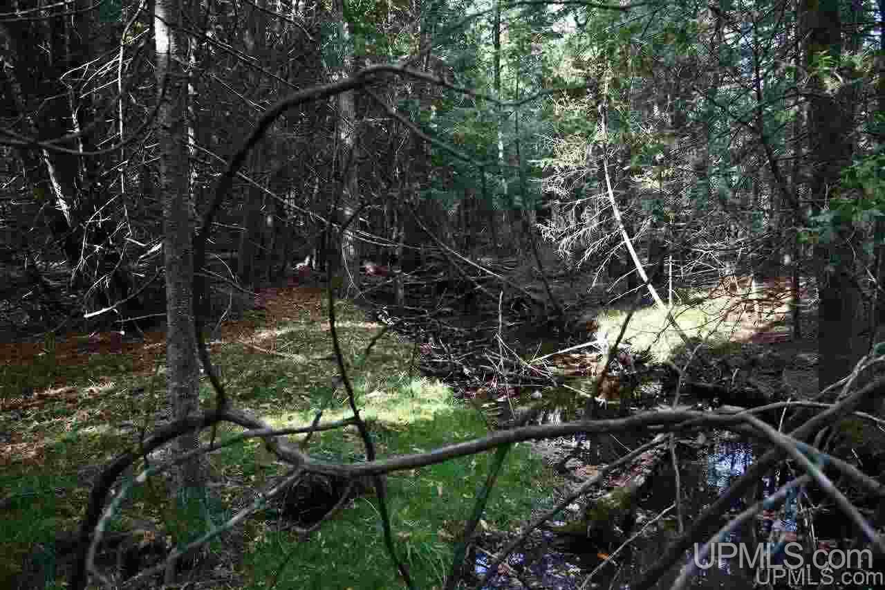 Tbd Schnurer Road, Unit 80 AC Manistique, MI 49854 - Photo 10 of 24 Gallery Image 10