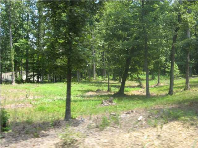 4 Ladd Springs Road Chatsworth, GA 30705 - Photo 1 of 3 Primary Photo
