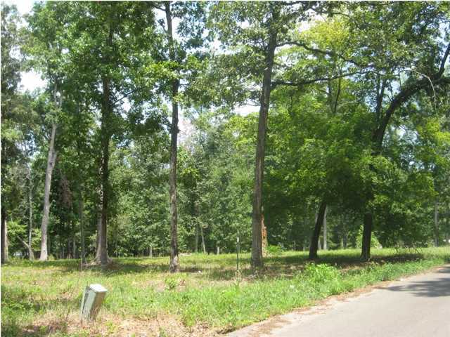 4 Ladd Springs Road Chatsworth, GA 30705 - Photo 2 of 3 Additional Photo
