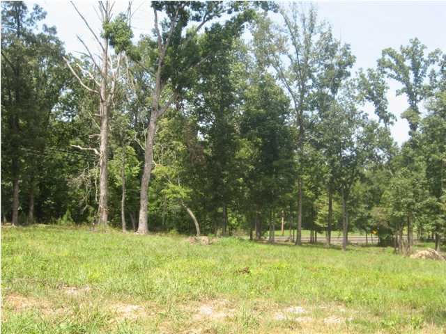 4 Ladd Springs Road Chatsworth, GA 30705 - Photo 3 of 3 Additional Photo
