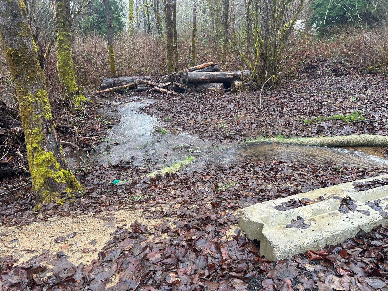 5214 Lerch Road Snohomish, WA 98290 - Photo 3 of 6