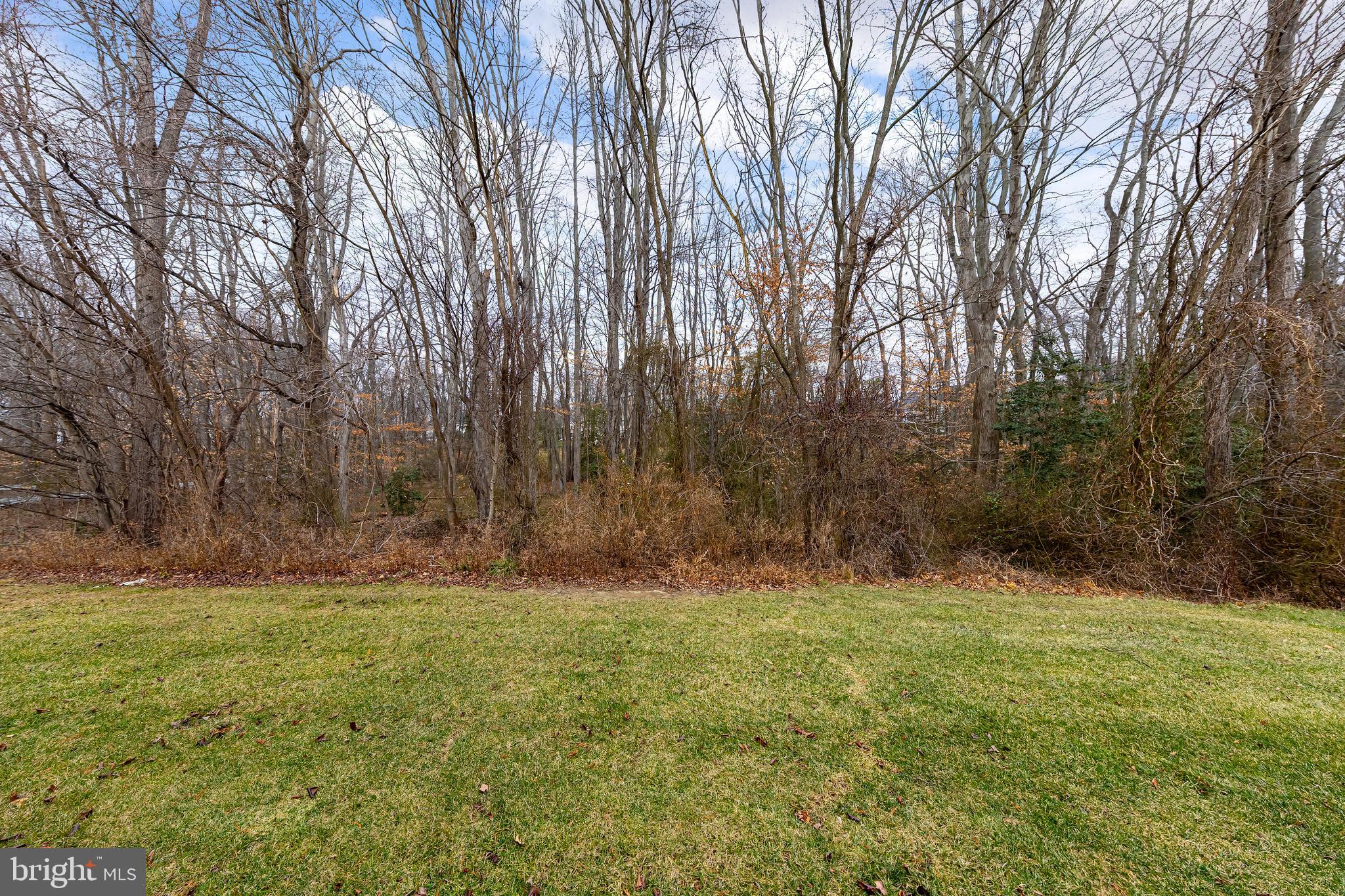 137 Merion Way Hainesport, NJ 08036 - Photo 25 of 26 a backyard of a house with lots of green space